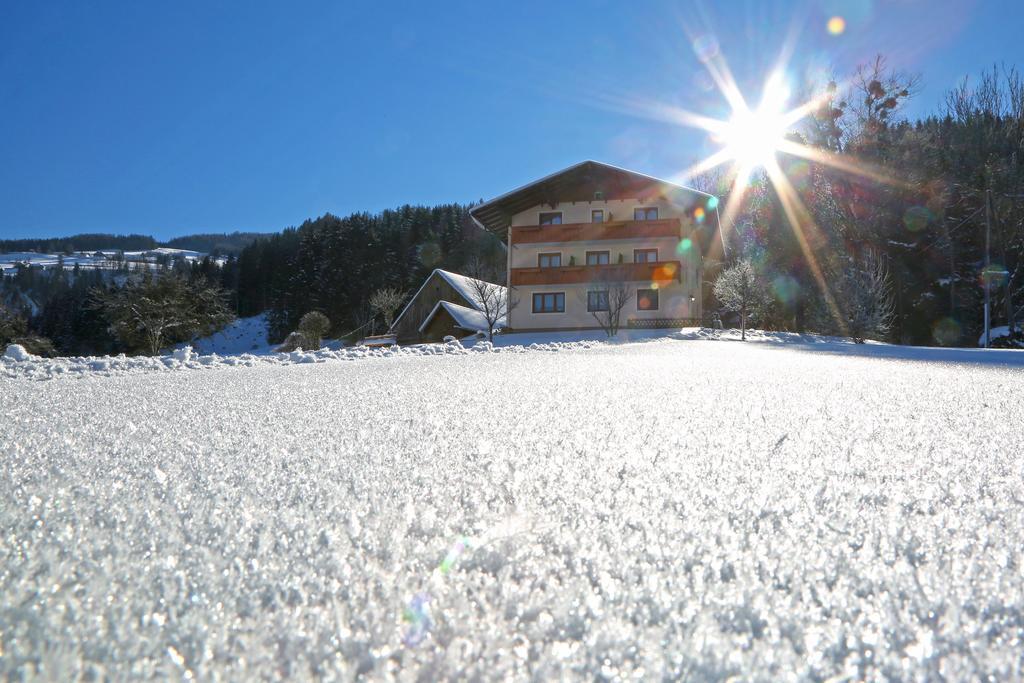 Rosspointnerhof Hotel Haus im Ennstal Exterior photo